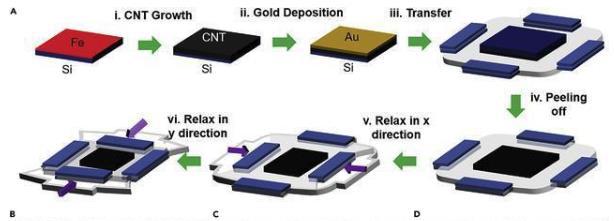 必发·bifa(中国集团)唯一官方网站
