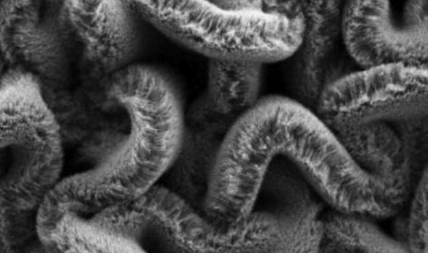 行业新闻：可拉伸的超等电容器，，，，，，为柔性可衣着装备铺路